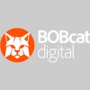 Bobcat Digital